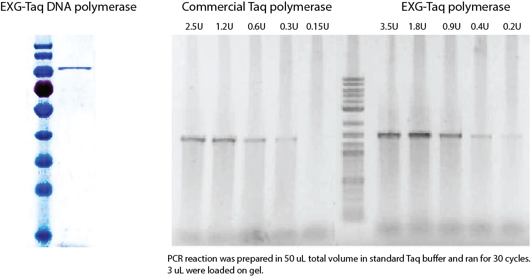Explogen Blog – Blog