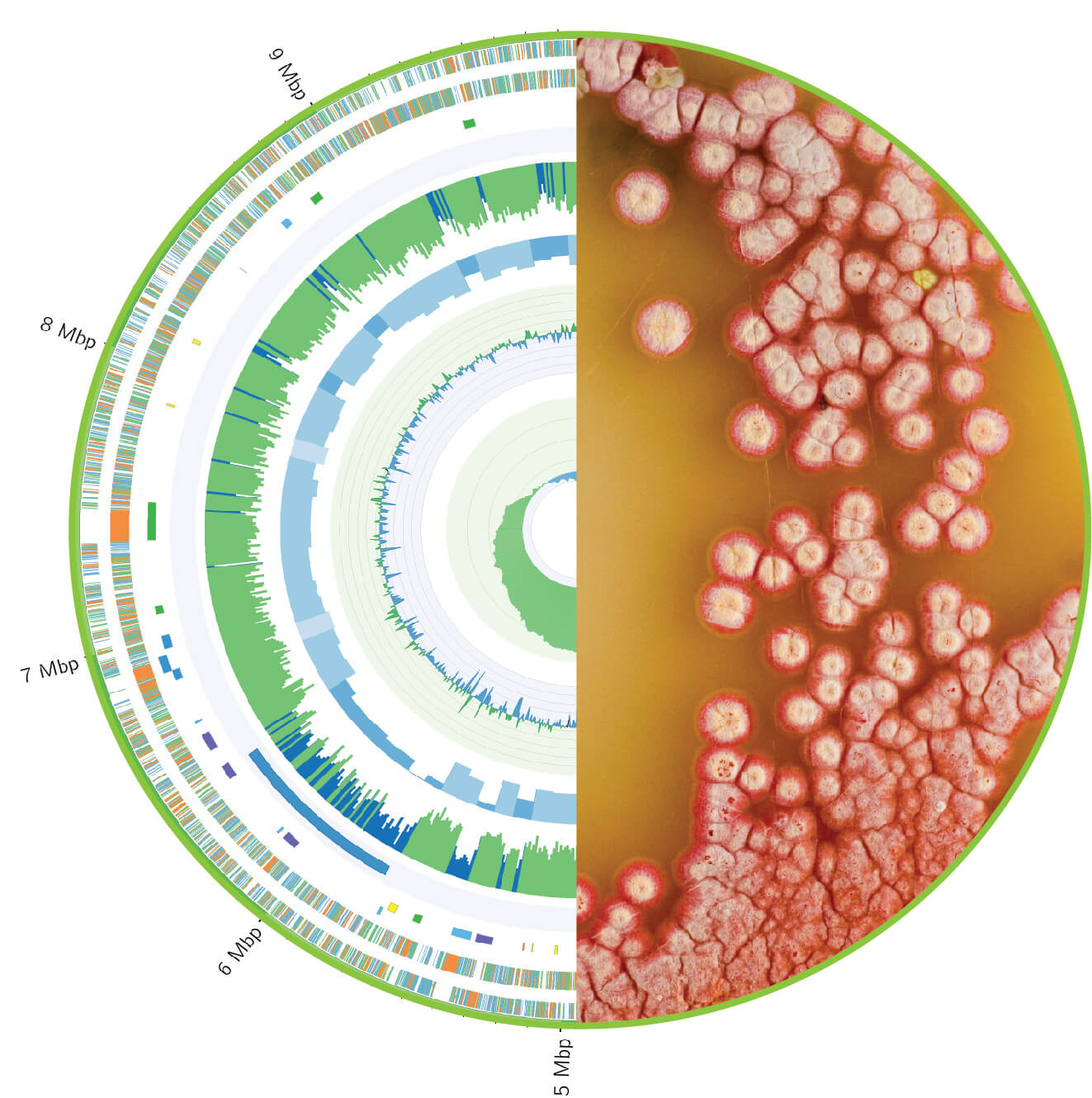 genomics